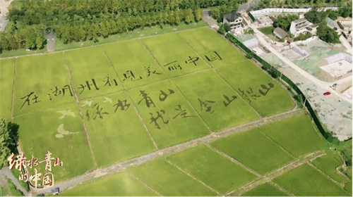 中国电视-《绿水青山的中国》：长江脉动——精湛手法呈现长江画卷