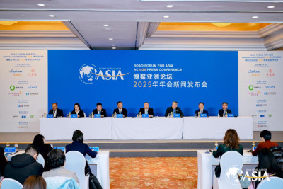 海外华商话中国机遇：高水平开放赋能全球合作