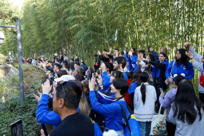 “欧洲翻番”倡议意大利站首团探寻大熊猫故乡