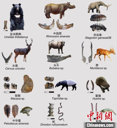 东西问丨郑喆轩：四川濛溪河遗址如何驳斥“东亚现代人演化发展瓶颈期”之说？