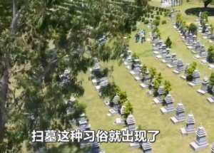 【趣解廿四时】清明祭祖扫墓 “扫”字缘何而来？