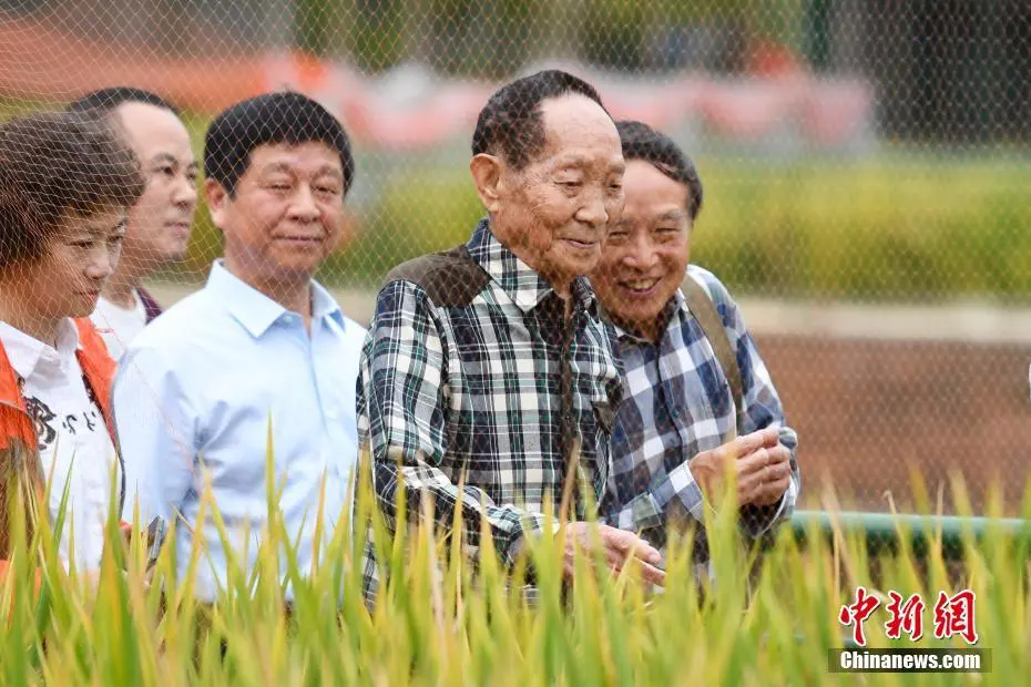 袁爷爷、吴爷爷，又想你们了……