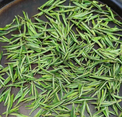 打品牌提品质,浙茶出海增势猛