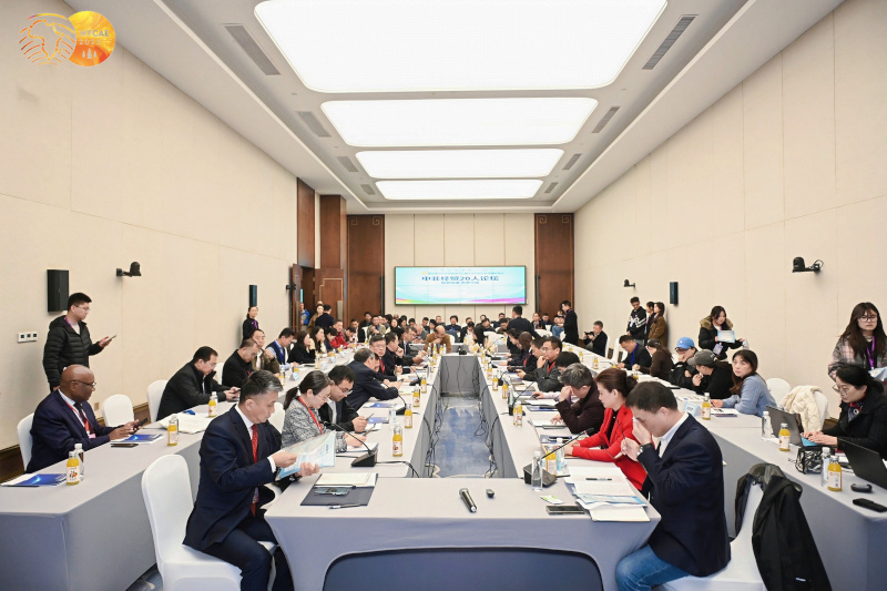 中非经贸20人论坛在杭举行：洞察中非经贸的全球视野