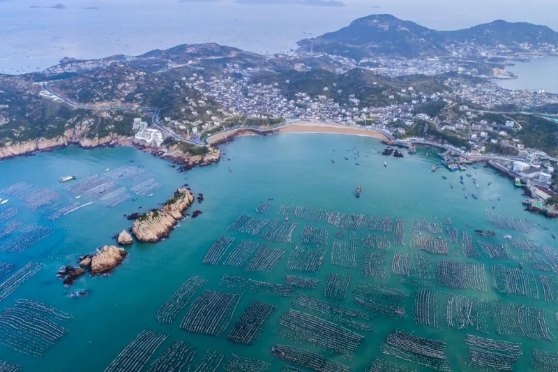 舟山嵊泗贻贝“闯全球”底气更足：前5月出口量额双创历史同期最高