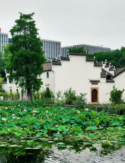 义乌横塘：从一片荒山到货通全球的电商枢纽
