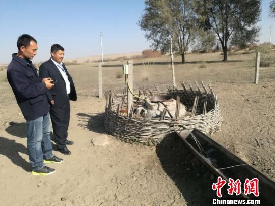 “一根网线”为内蒙古西部农村经济架设“金桥”