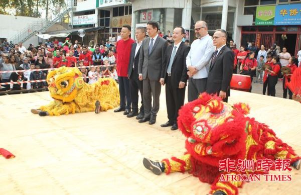 万人齐聚南非约堡唐人街共庆猪年新春佳节（视图）