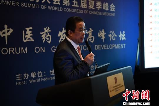 中东欧中医药学会会长陈震在论坛上发言。　田进 摄