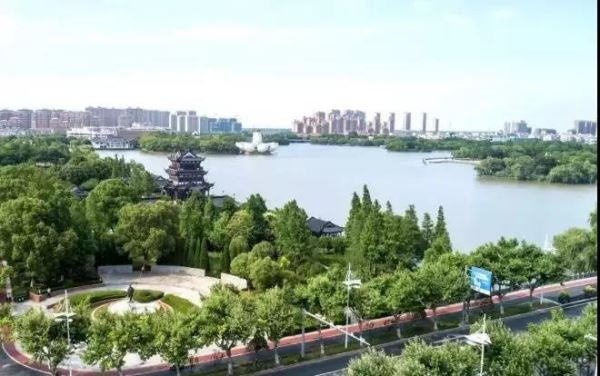 点击查看大图