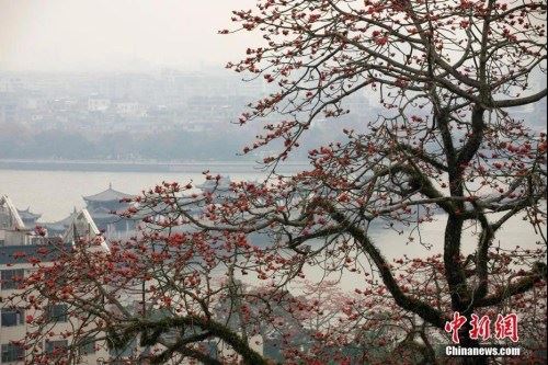 资料图：广东省潮州市韩愈纪念馆附近景观。刘莉生 摄