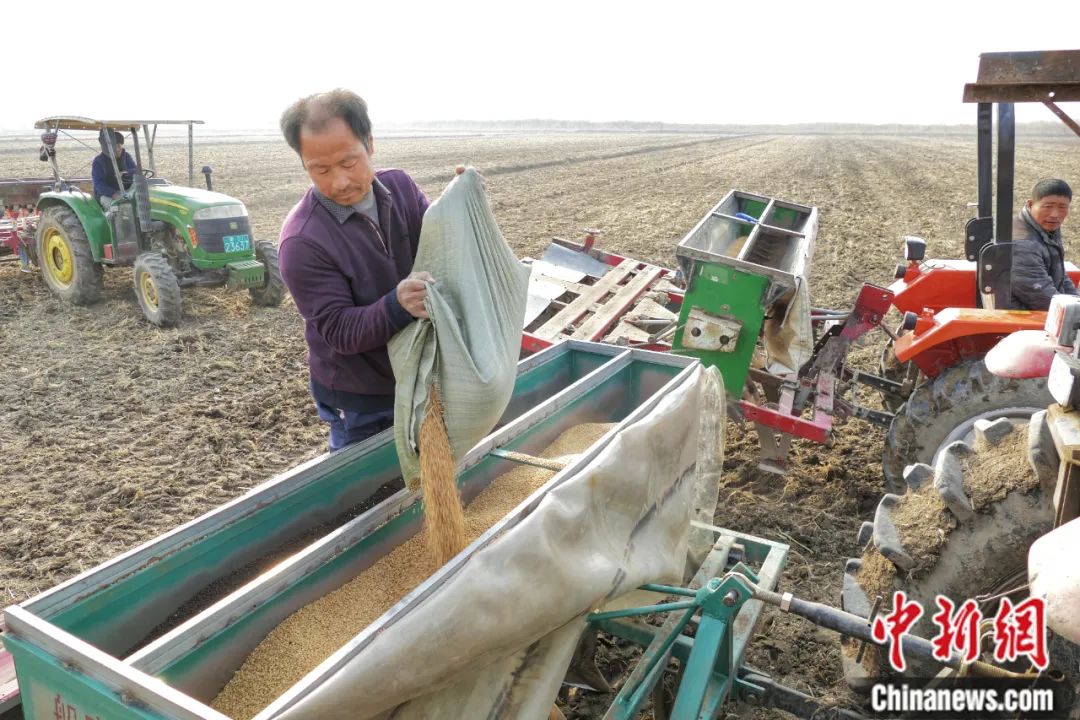 农民播种小麦。<a target='_blank' href='http://www.chinanews.com/'>中新社</a>记者 佟郁 摄