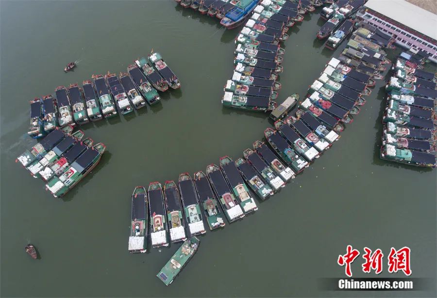 南海进入伏季休渔期，海口新港码头大批渔船回港靠泊。<a target='_blank' href='/'>中新社</a>记者 骆云飞 摄