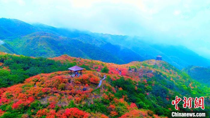 被称为&ldquo;湘东绿色明珠&rdquo;的大围山国家森林公园。首届长沙旅发大会组委会供图