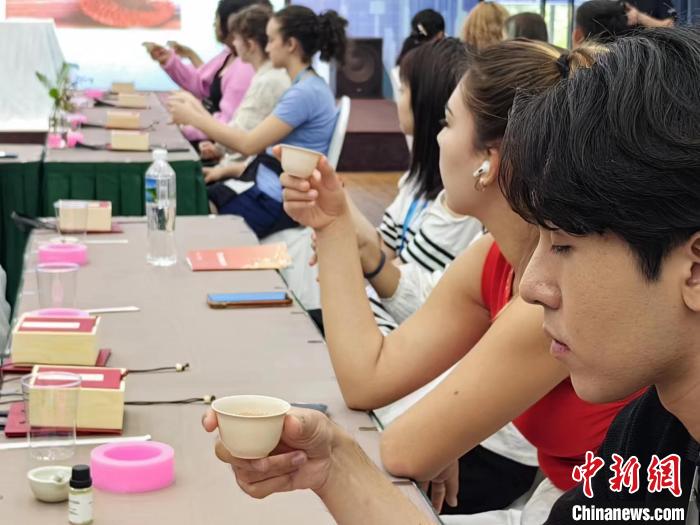 中外营员品茗。　陈静 摄