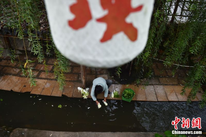 图为居民在兴贤古街小溪边洗菜。<a target='_blank'  data-cke-saved-href='/' href='/' >中新网</a>记者 李骏 摄