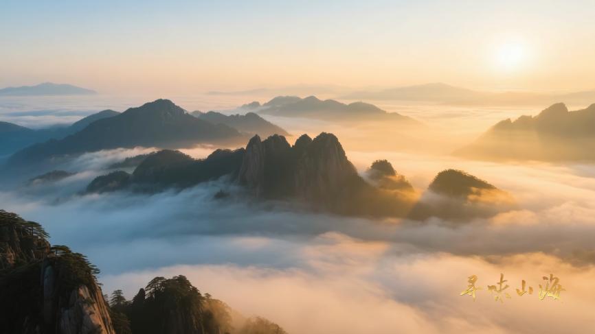 中国电视-《寻味山海》：技术赋能打造极致“视觉通感”