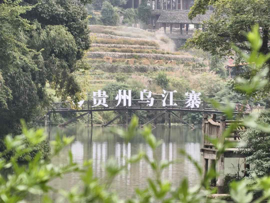 侨行贵州｜晨游乌江寨，一枕烟霞入古寨